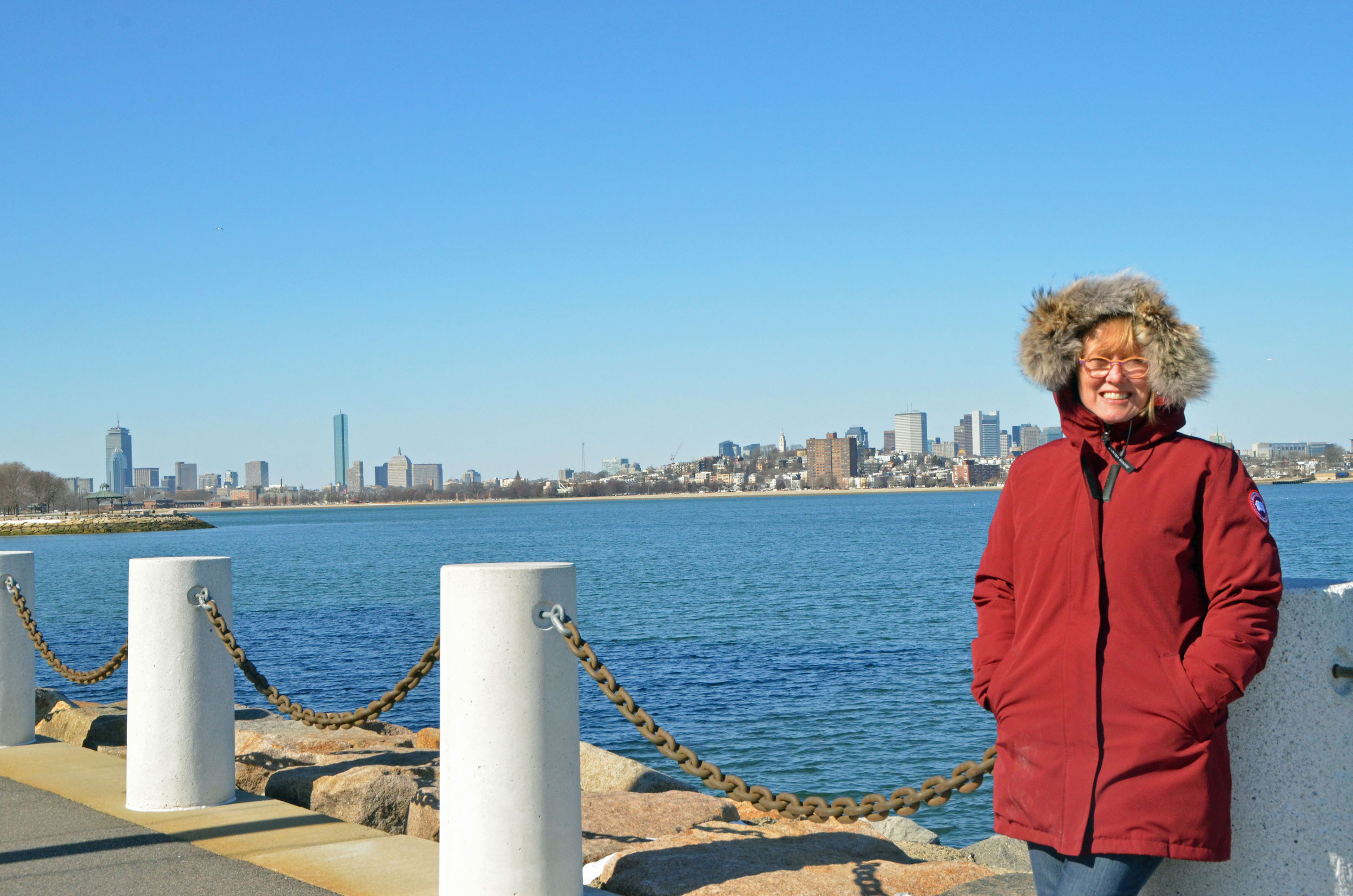 View of Boston Skyline