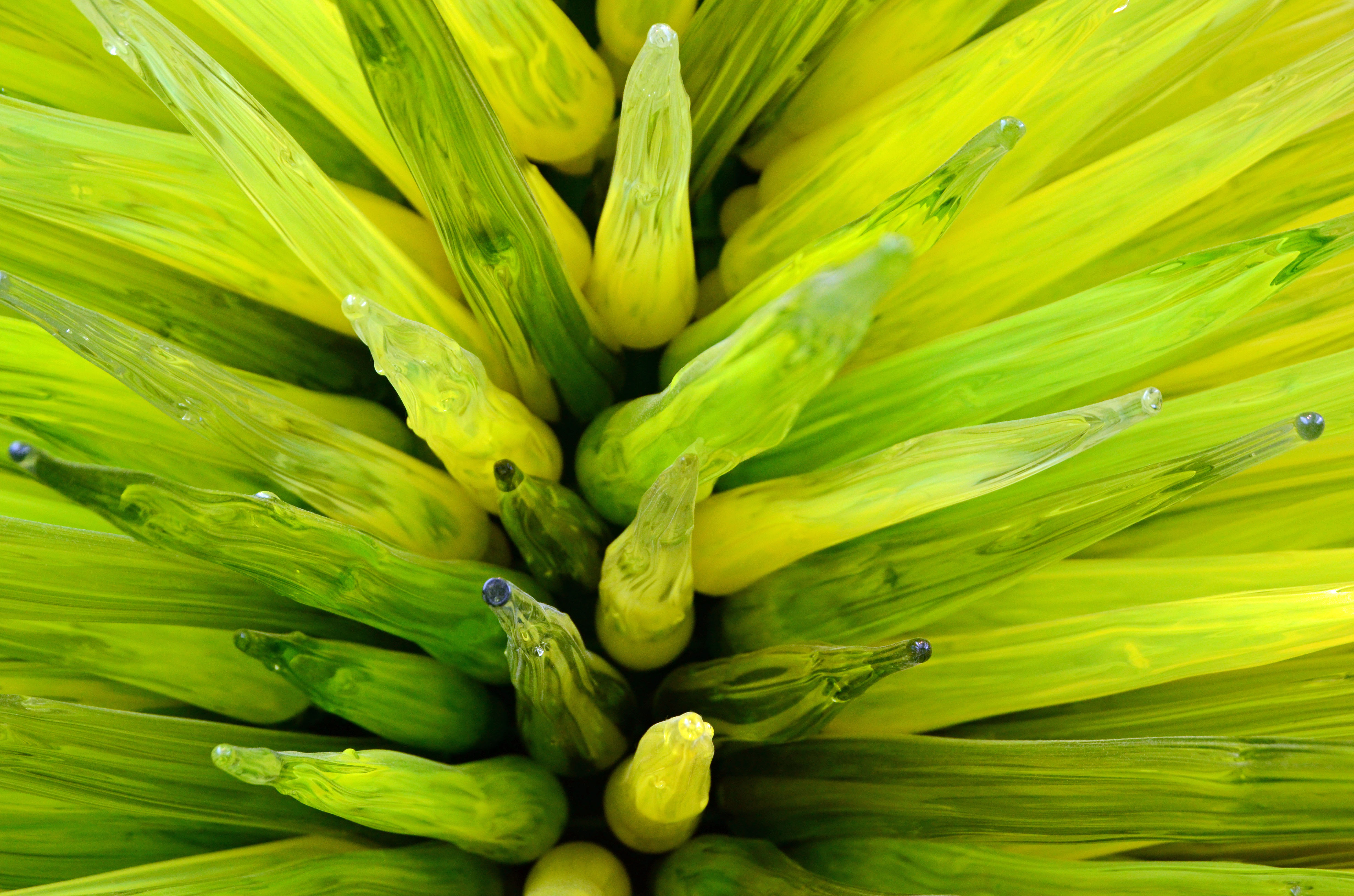 Chihuly Detail