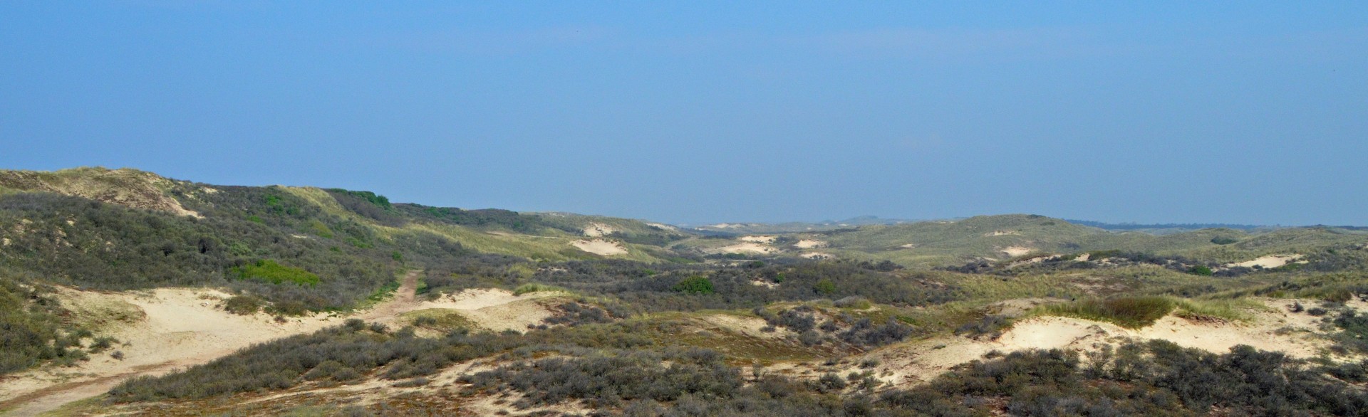 Castricum dunes on the North Sea