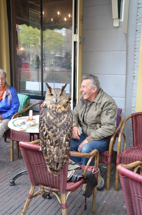 Man with Owl