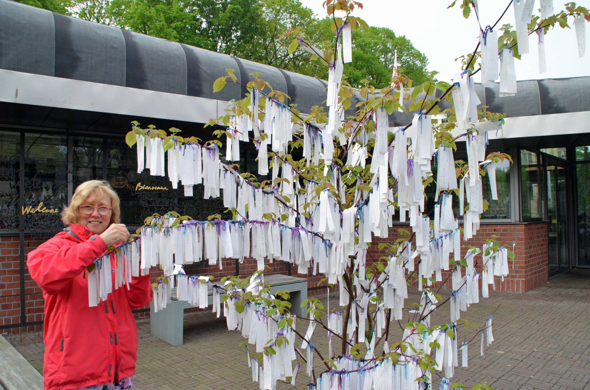 Tieing our message to the world peace tree