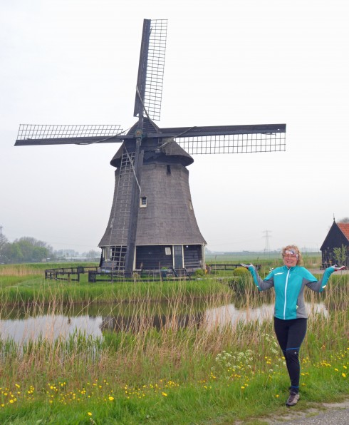 Too many windmills to count - De Beemster