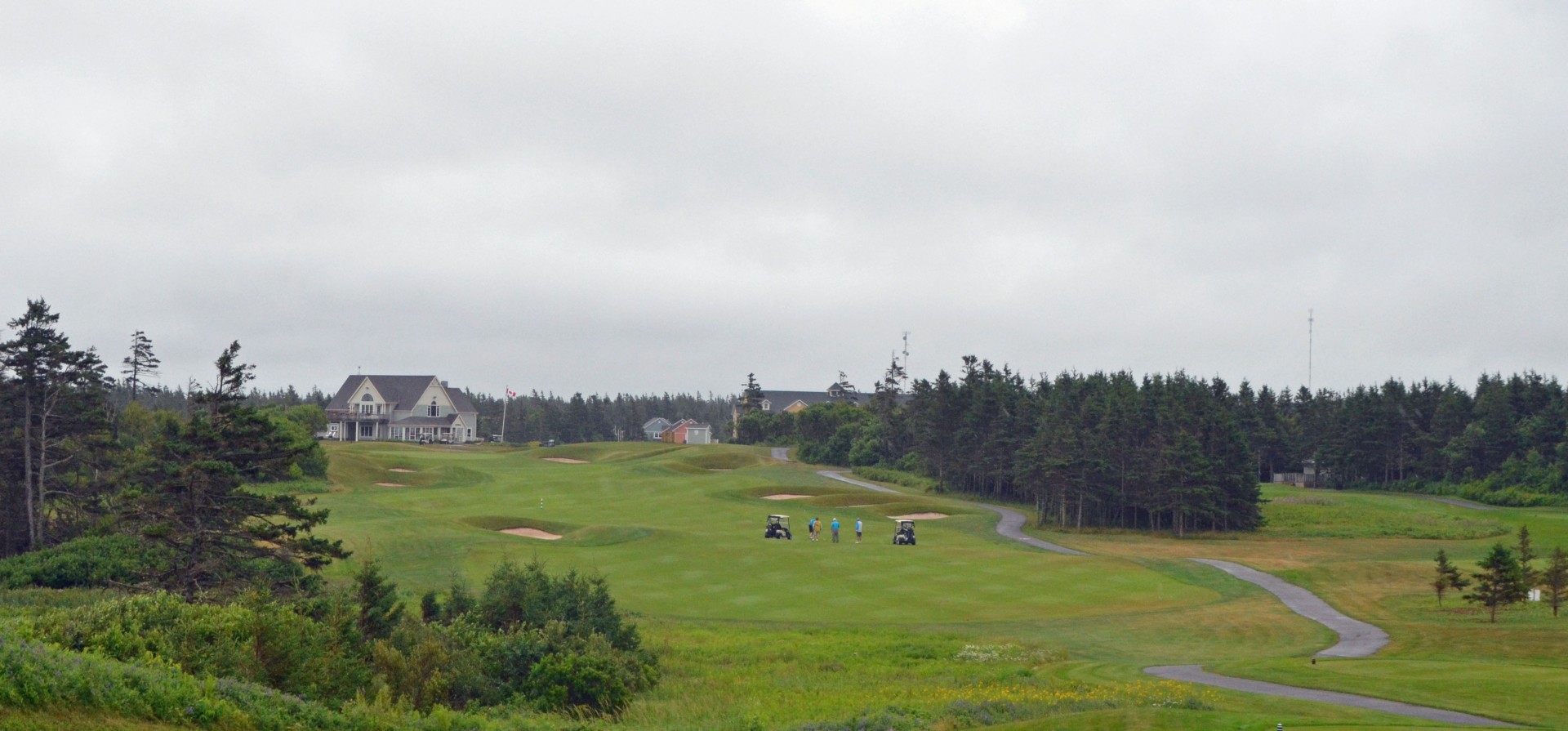 Crowbush Cove #18