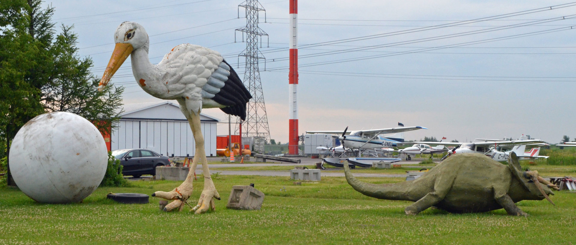 Stork and Triceratops, Laval