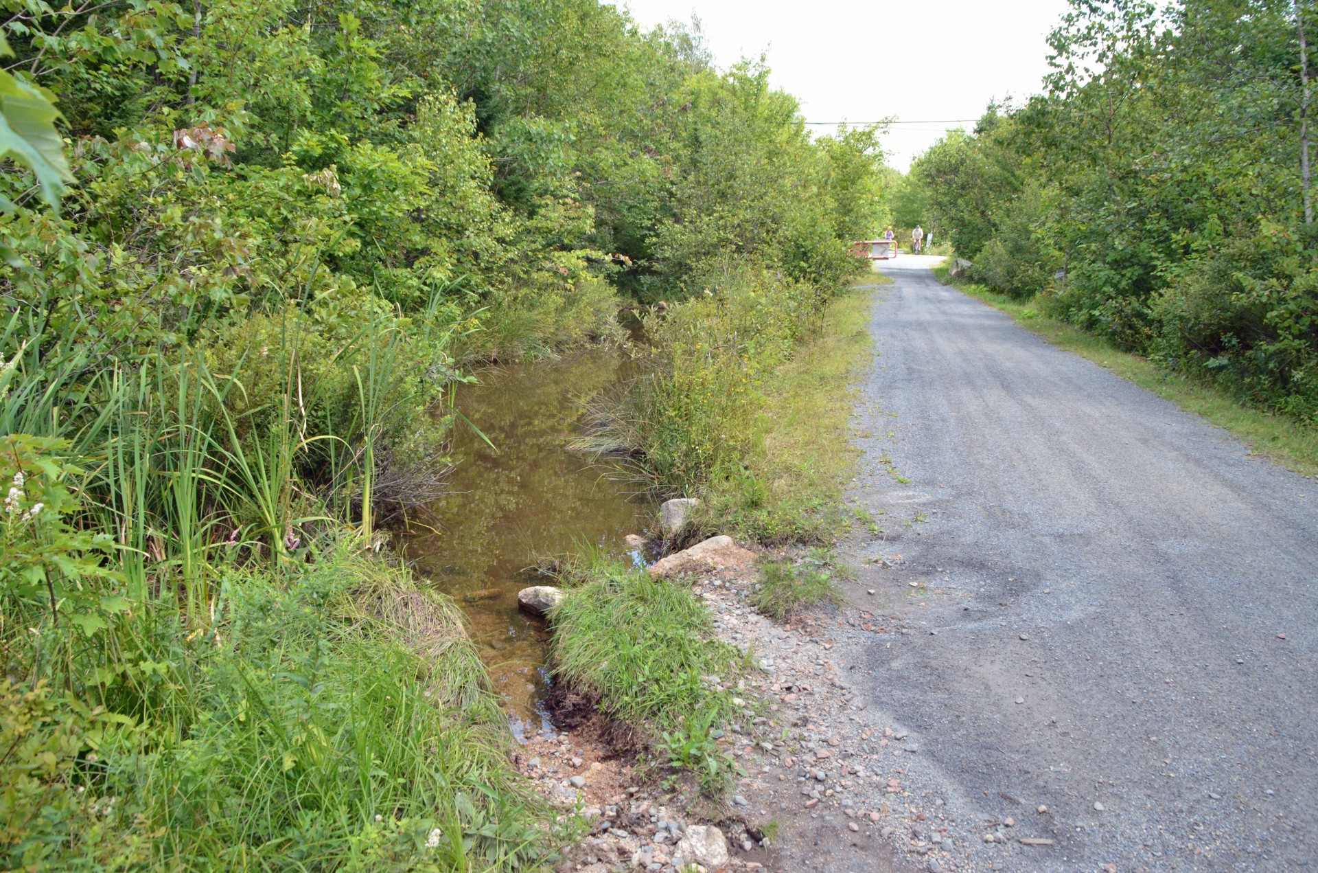 The Bike and Bean Cycling from Halifax to Tantallon