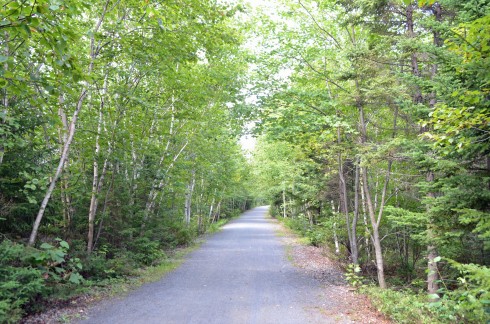 BLT Trail, cycling to the Bike and Bean