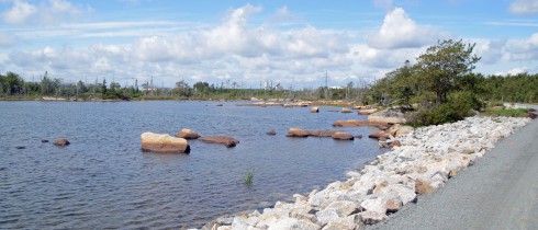 Bayer's Lake