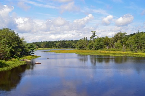 Governor Brook at the mill pond