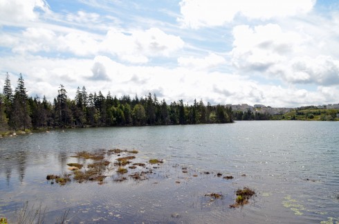 Lovett Lake, cycling to the Bike and Bean