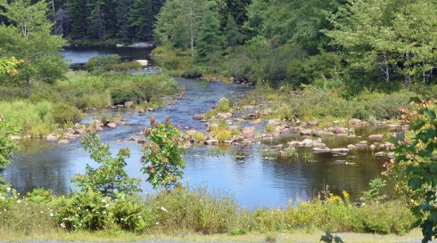 Site of Fraser's Mill