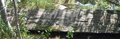 The Oak Island marking stone