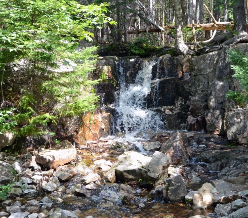 Waterfall into Governor Brook on the way to the Bike and Bean