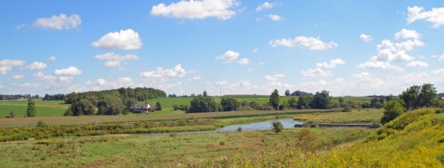 Conestogo River