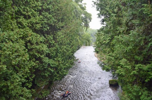 Elora Gorge - The tubers are safe