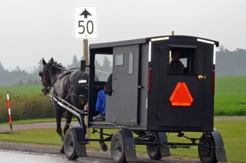 Mennonite Buggy