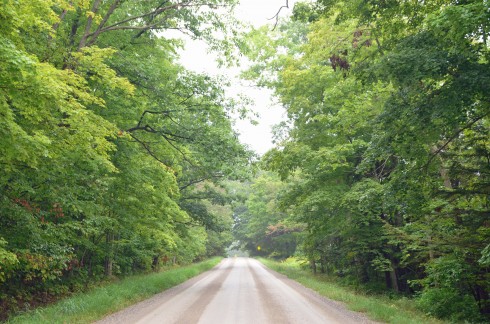 Waterloo Country Road on the Way to Elora Gorge