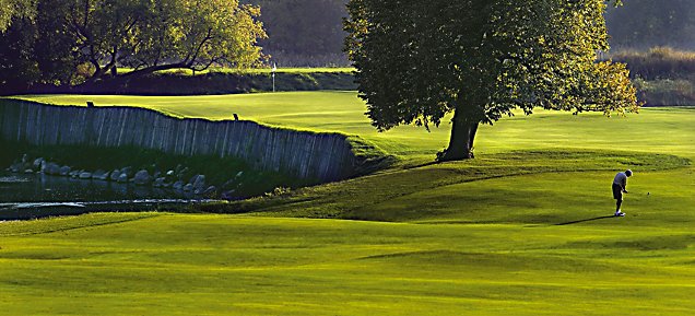 #16 - Unter Der Linden, River Course, Blackwolf Run