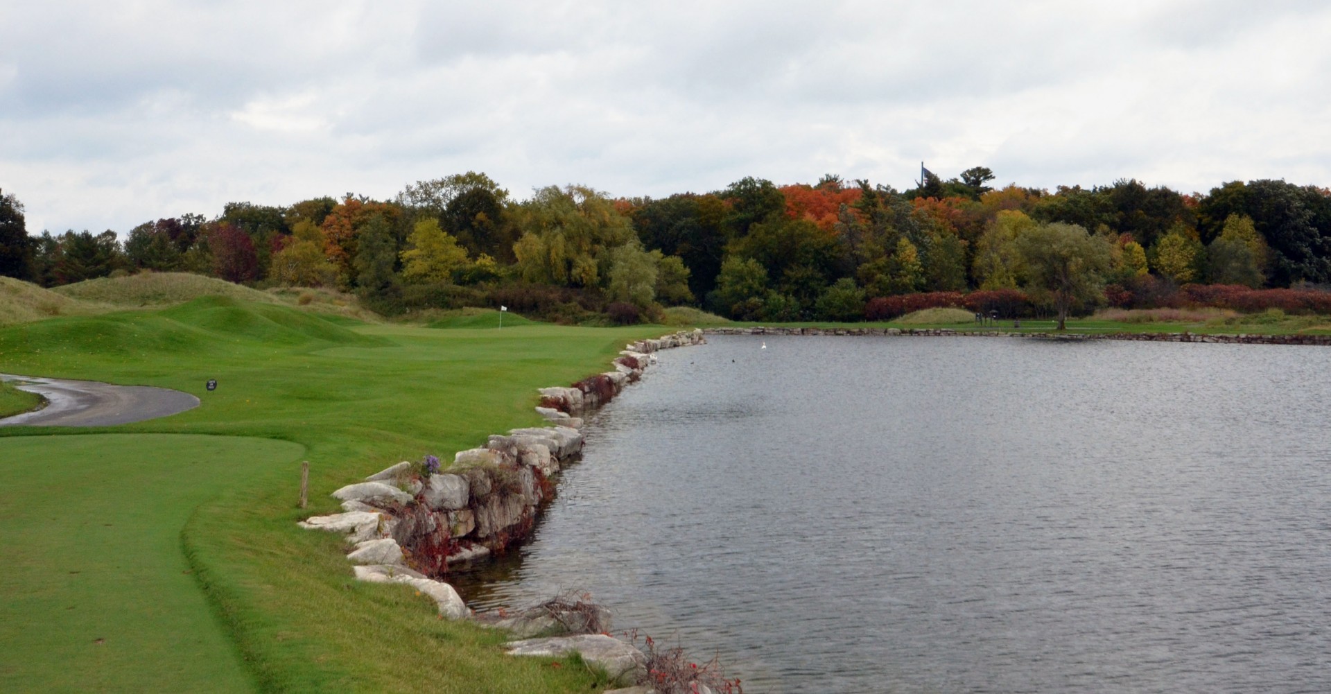 #4 Swan Lake, River Course, Blackwolf Run