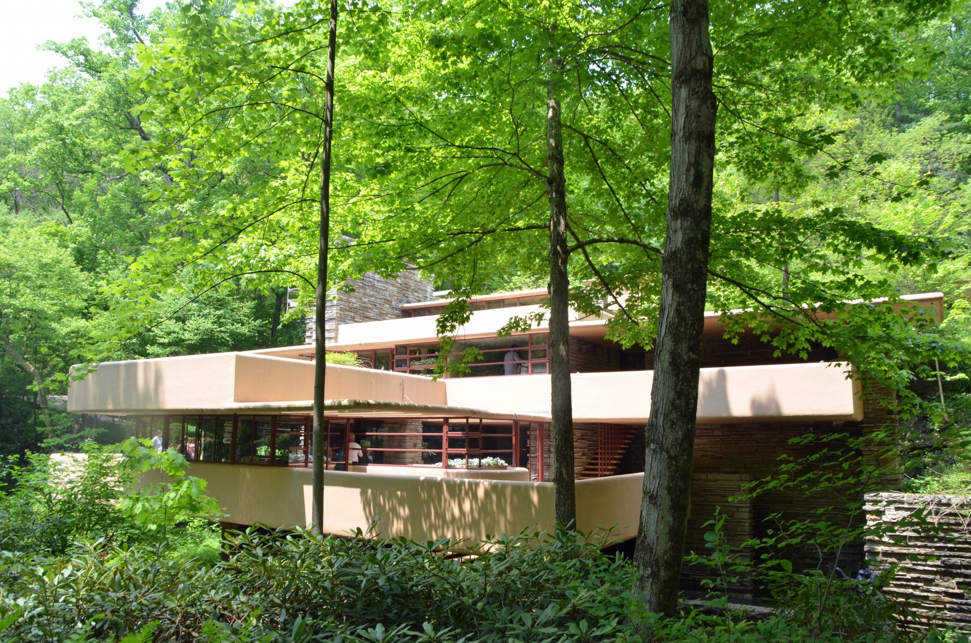 Fallingwater 2