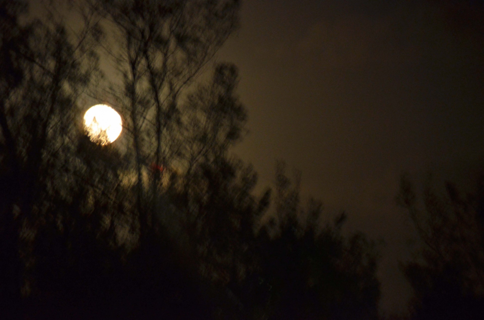 Southampton Moonrise