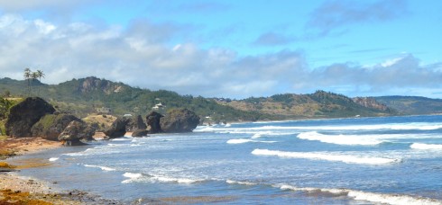 Touring Barbados - Bathsheba Beach