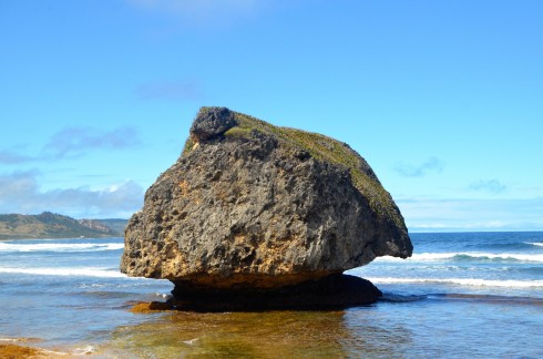 Touring Barbados - Bathsheba Mushroom