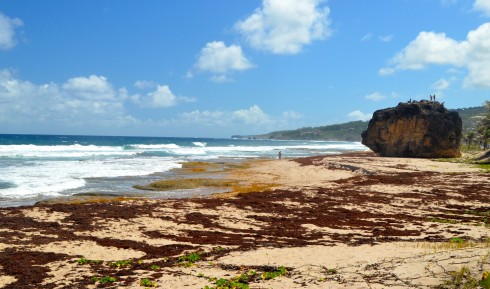 Cattlewash Beach, northern Barbados