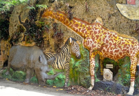 Giraffe, Zebra and Rhino