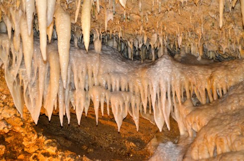 Line of Stalactites, Harrison's Cave