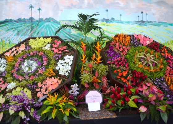 Barbados Flowers