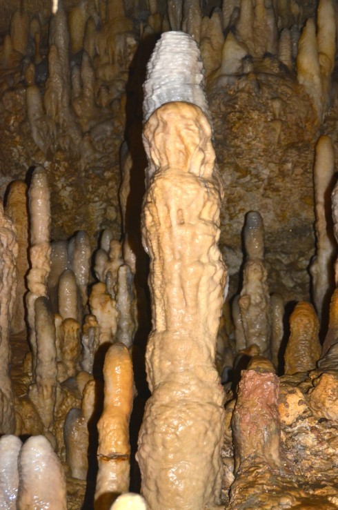 Stalagmites, Harrison's Cave