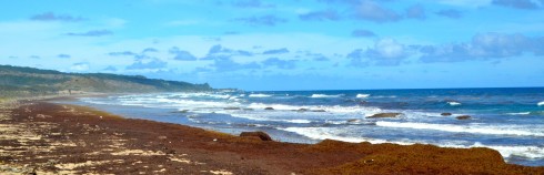 The Eastern Coast of Barbados