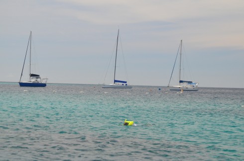 The wrecks to myself in Carlisle Bay Barbados