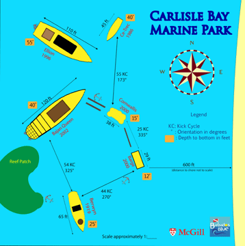 Carlisle Bay Marine Park