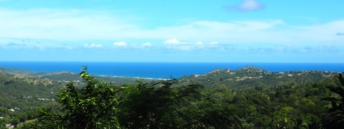 View of the West Coast from Flower Forest 