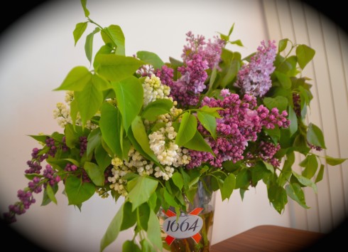 Fresh Lilacs in Montmartre