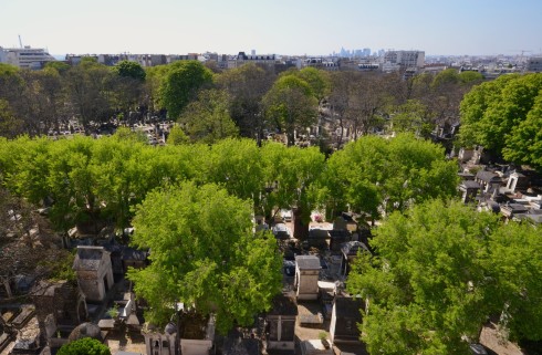 View of Montmartre Cemetery fromour apartment in Paris