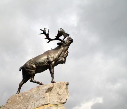 Beaumont Hamel Caribou 