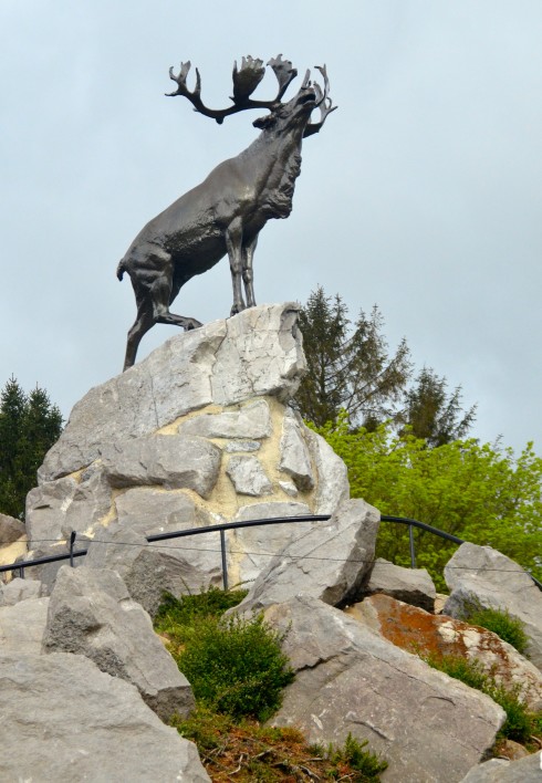 The Beaumont Hamel Caribou