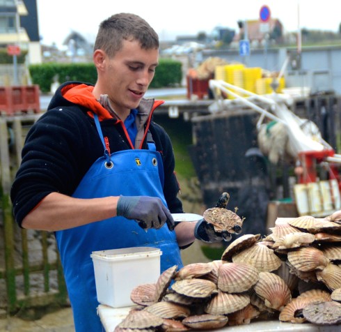 Scallop Shucker