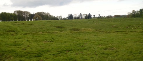 View from the Danger Tree at Beaumont Hamel