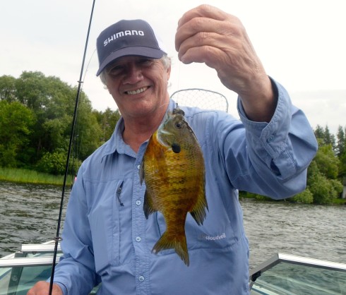 My first bluegill on the Kawarthas