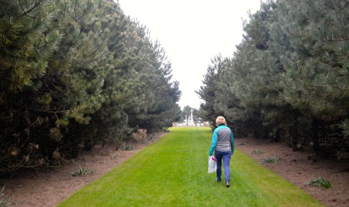 On the way in to Calais Canadian War Cemetery