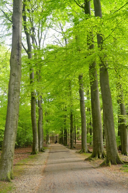 Sonsbeek Park, Arnhem, Holland