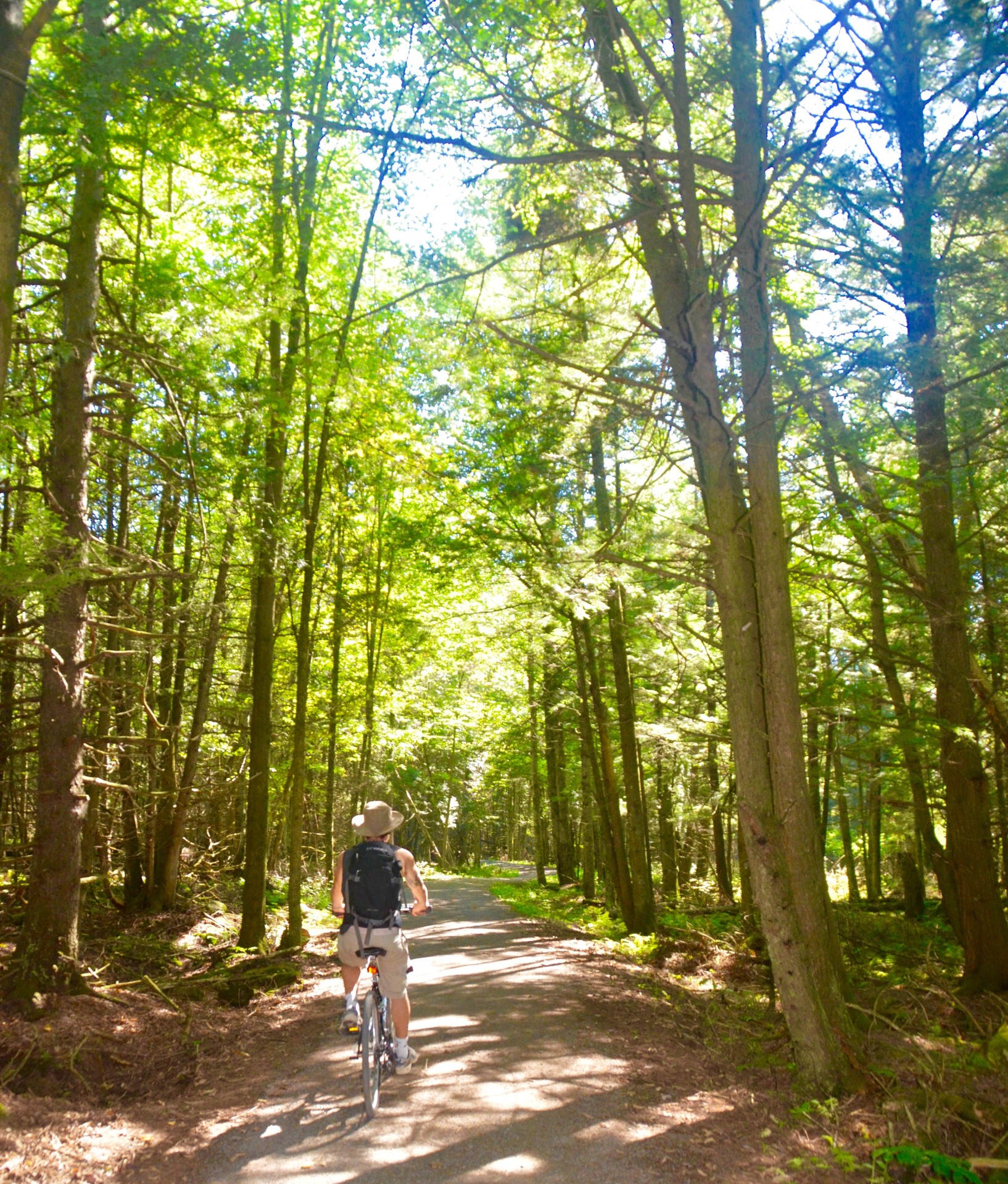 Yamaska National Park with a Stop at the Fairmont Chateau Montebello