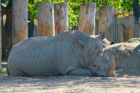 Granby Zoo