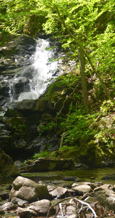 McIntosh Brook Falls