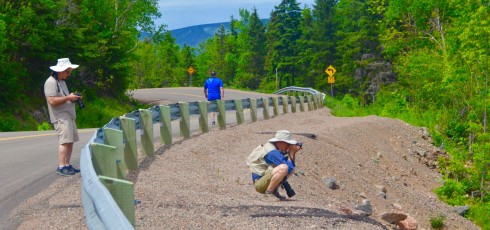 TMAC 2016 - The Photographers