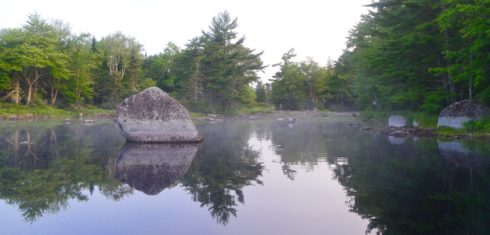 Trout Point Lodge View Upstream