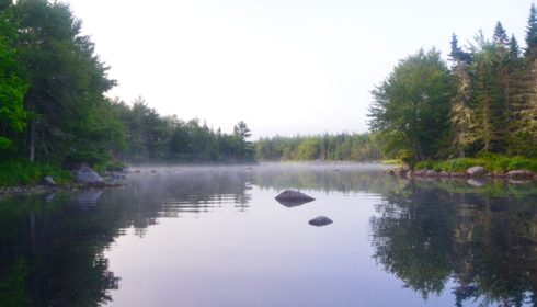 Trout Point Lodge View Downriver